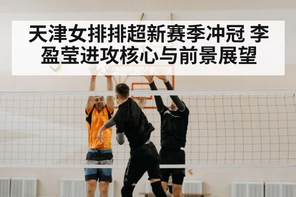 volleyball match net block
